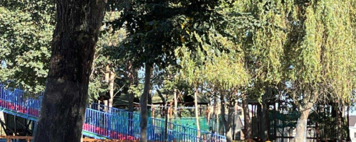 Dzień Chłopaka klas 1-3 w Mini Zoo Walim