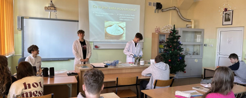 Sole w codziennym życiu - projekt uczniów klasy ósmej