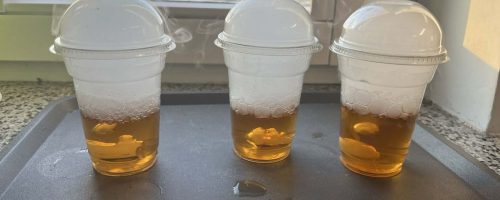 Warsztaty kuchni molekularnej - nauka i magia w jednym!